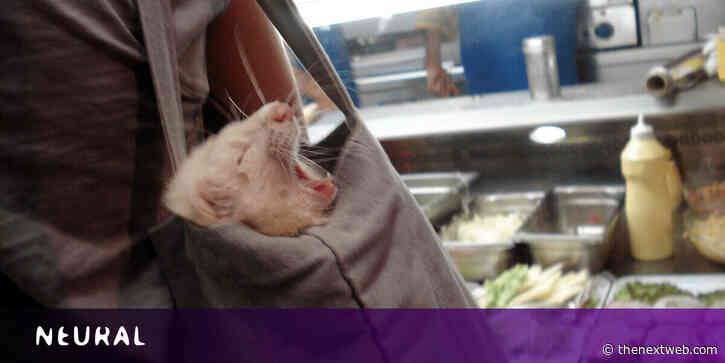 Here’s how AI can help you sleep