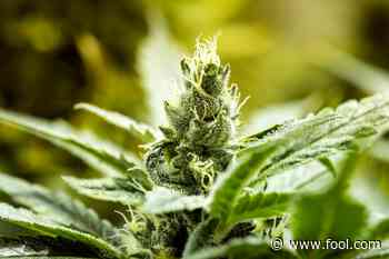 Malawi Legalizes Medical Marijuana - Motley Fool