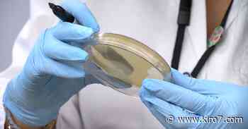 Coronavirus: Harborview medical director separates fact from fiction - KIRO Seattle