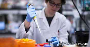 Coronavirus testing will result in more cases reported, medical expert says - TODAY