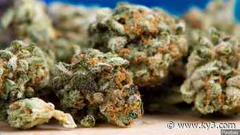 Medical marijuana licensing generates hundreds of appeals in Missouri - KY3