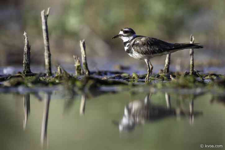 Annual contest invites young shutterbugs to submit photos