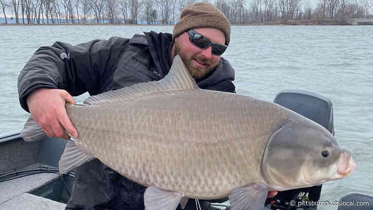 Erie Man Catches Giant 40-Pound Endangered Fish, That Can Live Up To 100 Years