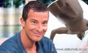 Welcome To IANS Live - ENTERTAINMENT - Bear Grylls 