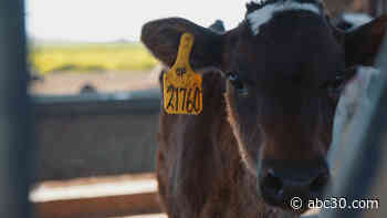 This Farm Is the World's Largest Producer of Raw Dairy Products