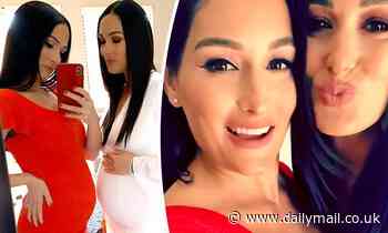 Nikki and Brie Bella stuns as they show off their matching baby bumps before stopping by The Talk