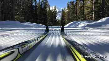 Alberta's $5M slashing of park funding slammed by critics