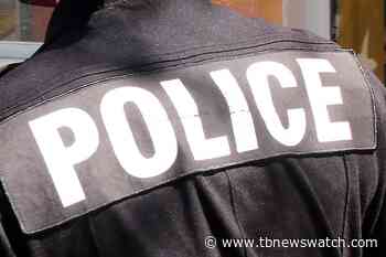 Six Toronto males, including three youths, arrested after cocaine and fentanyl seizure - Tbnewswatch.com