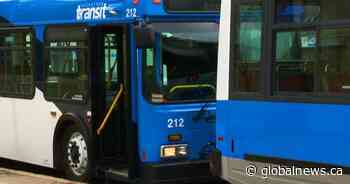 No plans for safety upgrades after Saskatoon bus driver bear sprayed, spat on - Global News