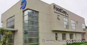 FoodCorp pone en pausa millonaria inversión en la comuna de Coronel - Mundo Acuícola