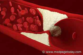 Slow Medicine: Missing the Forest for the Trees With Coronary Heart Disease?