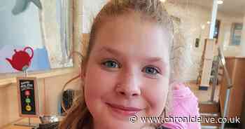 Search for missing Darlington schoolgirl Hayley Maddison who disappeared from home with her dog