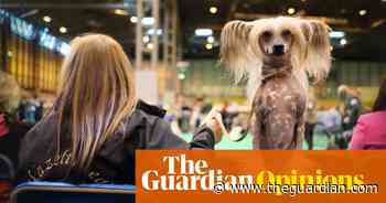 What’s really on display at Crufts? The dark arts of ‘dog editing’ - The Guardian