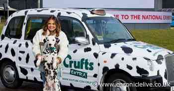 Scarlett Moffatt to host Crufts behind the scenes coverage and can't wait to get started