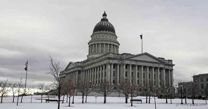 Letter: Tree-huggers meet gun-toters