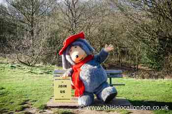 Crowdfunding campaign launched to erect a Womble statue in Wimbledon Common