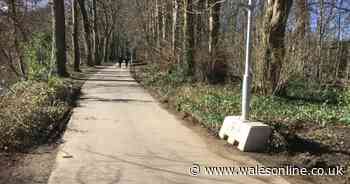 New lighting installed on Taff Trail between Blackweir and Western Avenue
