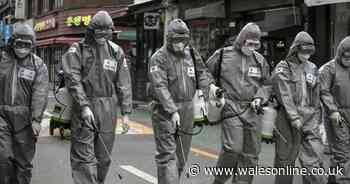 12 coronavirus facts that show how worried you should really be