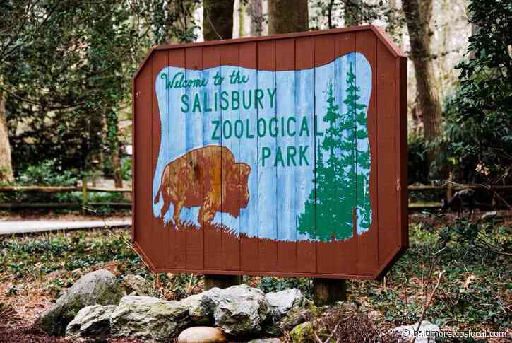 Maryland’s Salisbury Zoo Loses National Accreditation