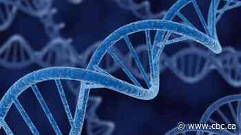 Edmonton police charge Ontario man with rape in 1981 assault on woman