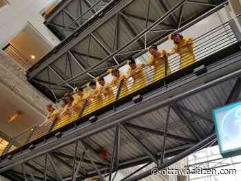 Free art series promises to enliven city hall this spring