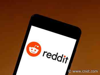 Reddit now lets you report users who might be at risk of self harm     - CNET