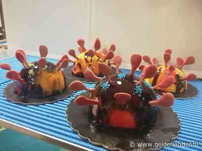 ‘Een stukje coronacake tijdens het aperitivirus’