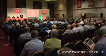 Revealed: The clubs who have forced the WRU to hold an Extraordinary General Meeting over grassroots funding
