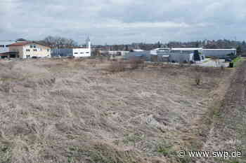 Wirtschaft: Firma Mayser kann doch nicht in Senden bauen - SWP