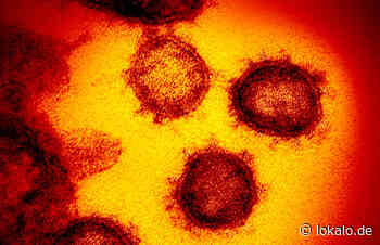 Corona in RLP – Wirtschaft fordert Hilfe von der Politik! - lokalo.de