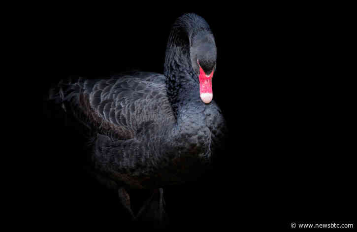 Is the Coronavirus The Black Swan Event That Crushes Cryptocurrency?