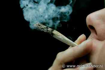 Arnhem wil tiener van drugs af helpen of houden