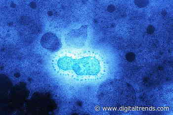 How a puzzle game could help scientists find a coronavirus cure