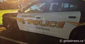 Abbotsford police seek hit-and-run driver that struck 64-year-old pedestrian