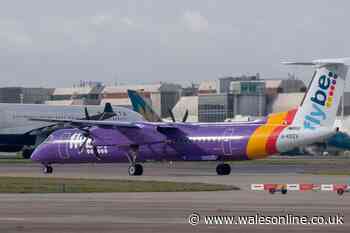 Fears for future of Flybe as flights grounded on Wednesday night