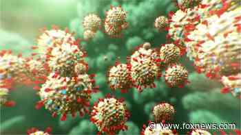 House easily passes $8.3B spending bill to battle coronavirus outbreak