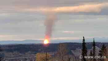 Pipeline explosion near Prince George might have been prevented by more frequent inspection: TSB