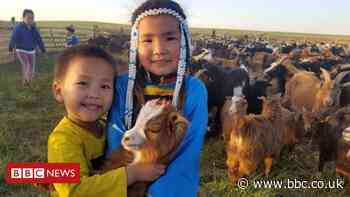 Cashmere and climate change threaten nomadic life