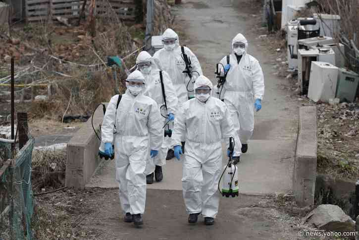 'What are the Symptoms?' 'Is There a Cure?' and Other Coronavirus Questions