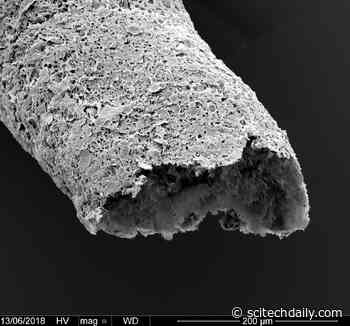 Self-Assembly Biomaterial Discovery Enables 3D Printing of Tissue-Like Vascular Structures