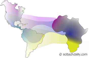 Genetic Analysis Helps Reconstruct the Transatlantic Slave Trade