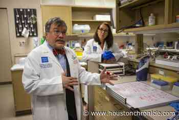 Houston and coronavirus: Contagion expert on what you should do - Houston Chronicle