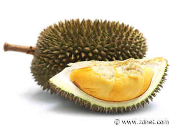 Sydney Uni researchers turn durian and jackfruit waste into charging packs