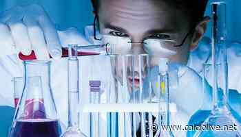 Mercato globale Vitexin 2020-2026 Erba biologica, Xian Tonking Biotech, Shaanxi Pioneer Biotech - Calciolive