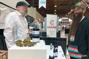 35,000 Missouri patients already have medical marijuana OK - KY3