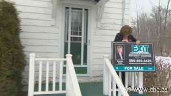 Interest rate cut for COVID-19 is like surgery with a club: Don Pittis