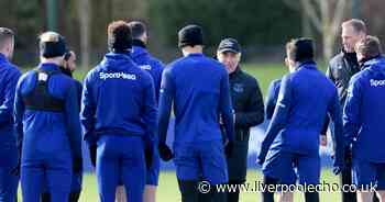 Carlo Ancelotti places specific demand on Everton coaching staff but rules out new appointments - Liverpool Echo