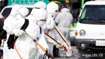 Containment efforts will delay, not prevent, COVID-19 outbreak in Canada, Hajdu warns