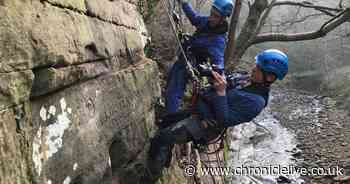The graffiti left by the Romans working on Hadrian's Wall in Northumberland