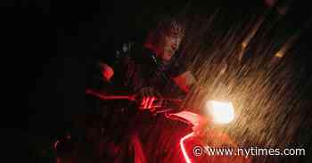 ‘The Wild Goose Lake’ Review: A Noir Thriller in Wuhan